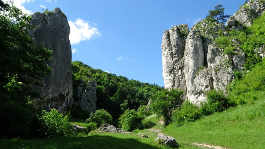 Les stages se déroulent dans le Jura (39)