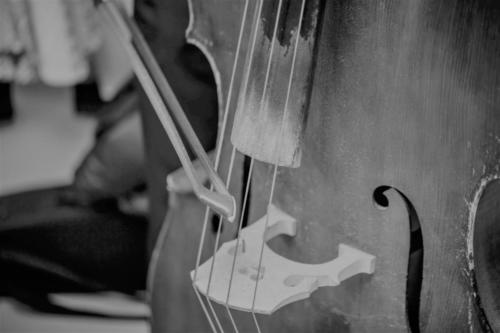 Stage de Contrebasse